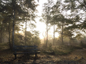 Dagcamping-De-Holterberg Dagcamping-De-Holterberg