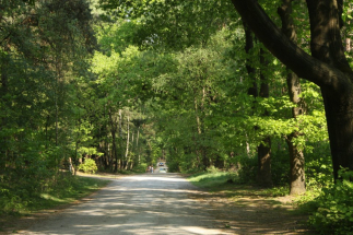 Holten-en-de-Holterberg Holten-en-de-Holterberg