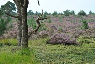 Holterberg Holterberg