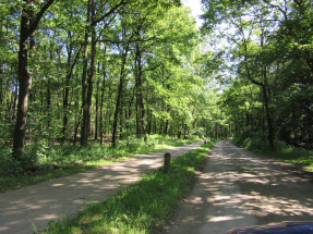 Onder-aan-de-Holterberg Onder-aan-de-Holterberg