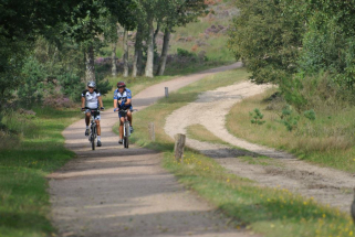 Routenetwerk-Sallandse-Heuvelrug Routenetwerk-Sallandse-Heuvelrug