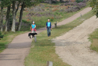 Wandelen-op-de-Holterberg Wandelen-op-de-Holterberg